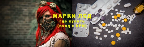 стаф Верея