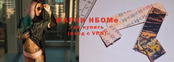 стаф Верея