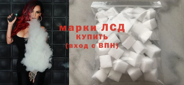 стаф Верея