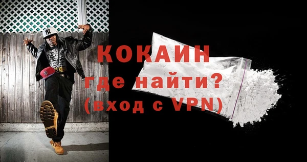 МДПВ Гусев